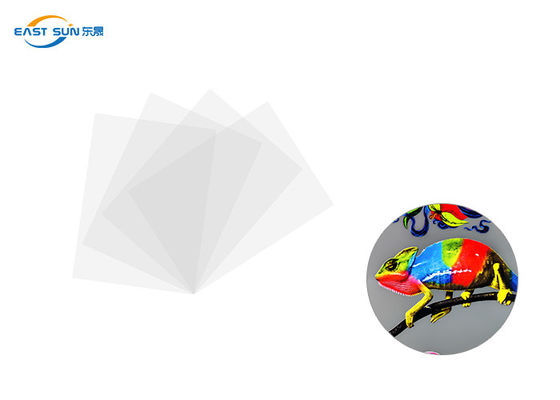 سعر جيد العرض التقليدي 60 سم 33 سم 30 سم DTF فيلم نقل الحرارة اللون الأبيض الانترنت