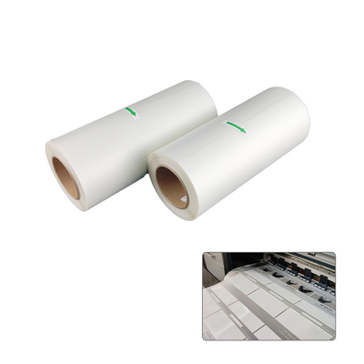 Good price Matte PET DTF Transfer Film Roll 75 ميكرون قشر بارد مزدوج الجانب الانترنت